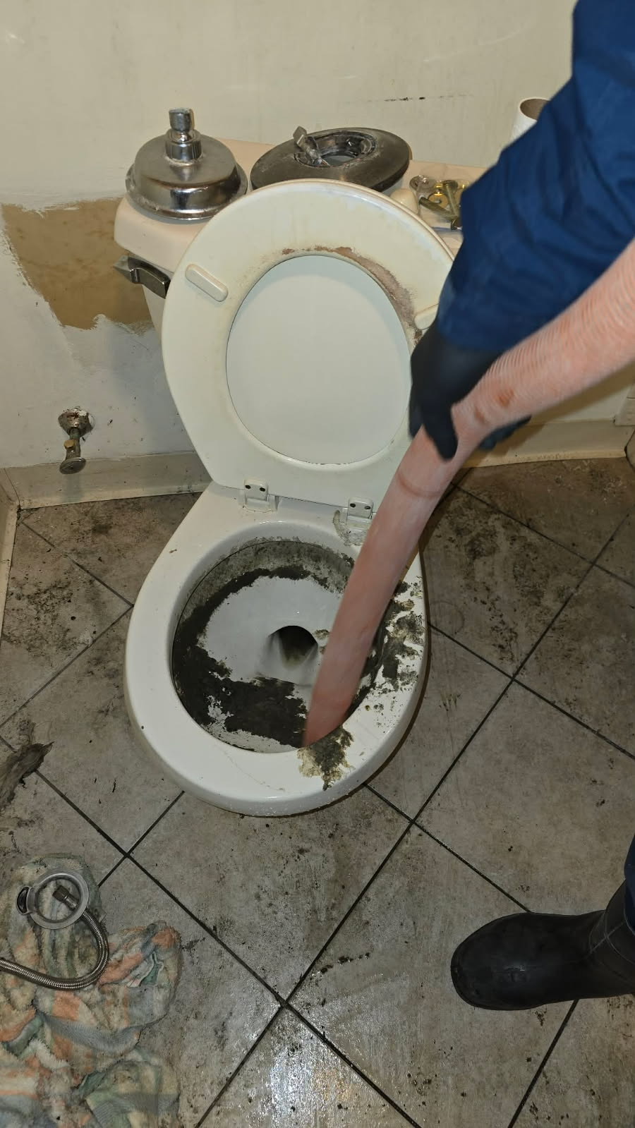 Restoration Project Image 12