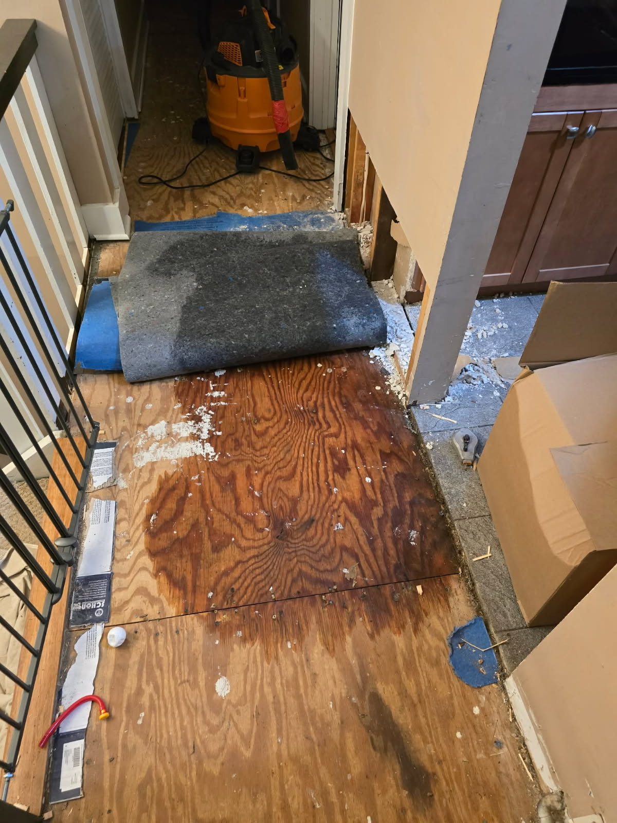 Restoration Project Image 2