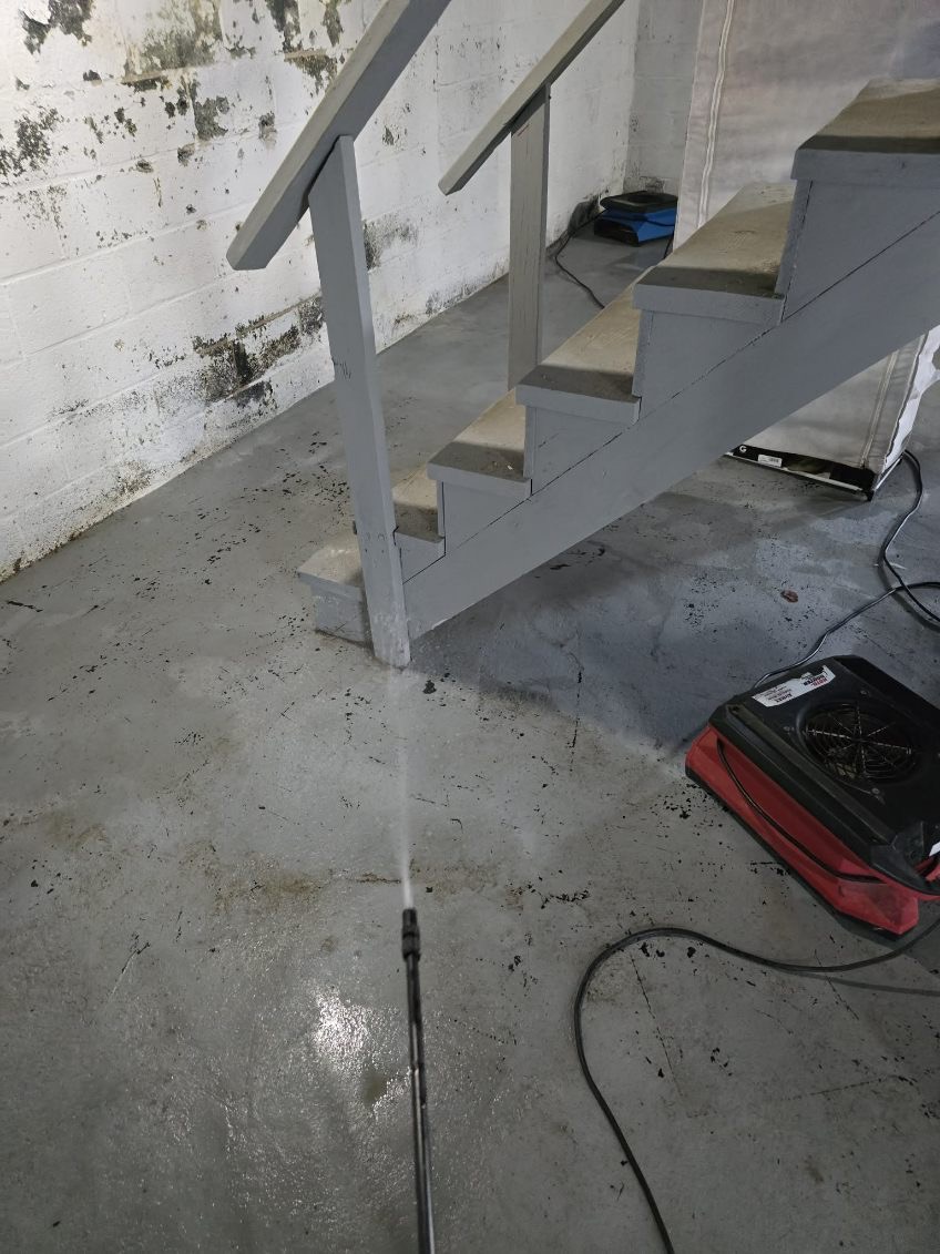 Restoration Project Image 4