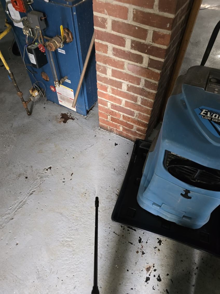 Restoration Project Image 5