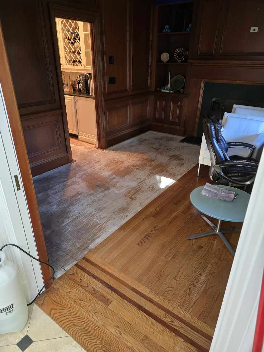 Restoration Project Image 6