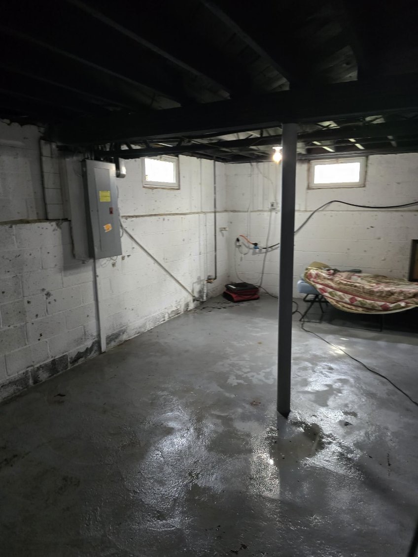 Restoration Project Image 8